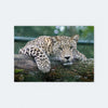 Wooden Jigsaw Puzzle - Leopard