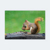 Wooden Jigsaw Puzzle - Squirrel